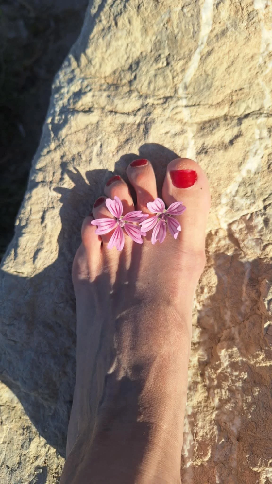 Couverture de L’âme des pieds